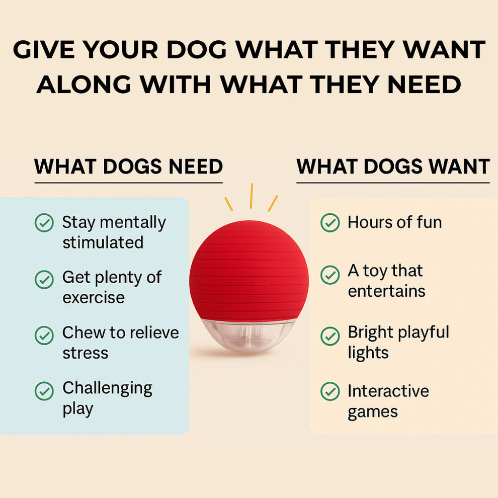 TailNest™ Rolling Fun Ball – Smart Interactive Pet Toy for Dogs & Cats