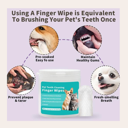 Tailnest™ BrightBite Wipes 🐾