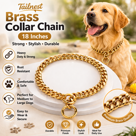 Tailnest Brass Dog Collar Chain 18 Inch | Heavy Duty Metal Chain Collar for Dogs | Durable Training & Control Pet Collar
