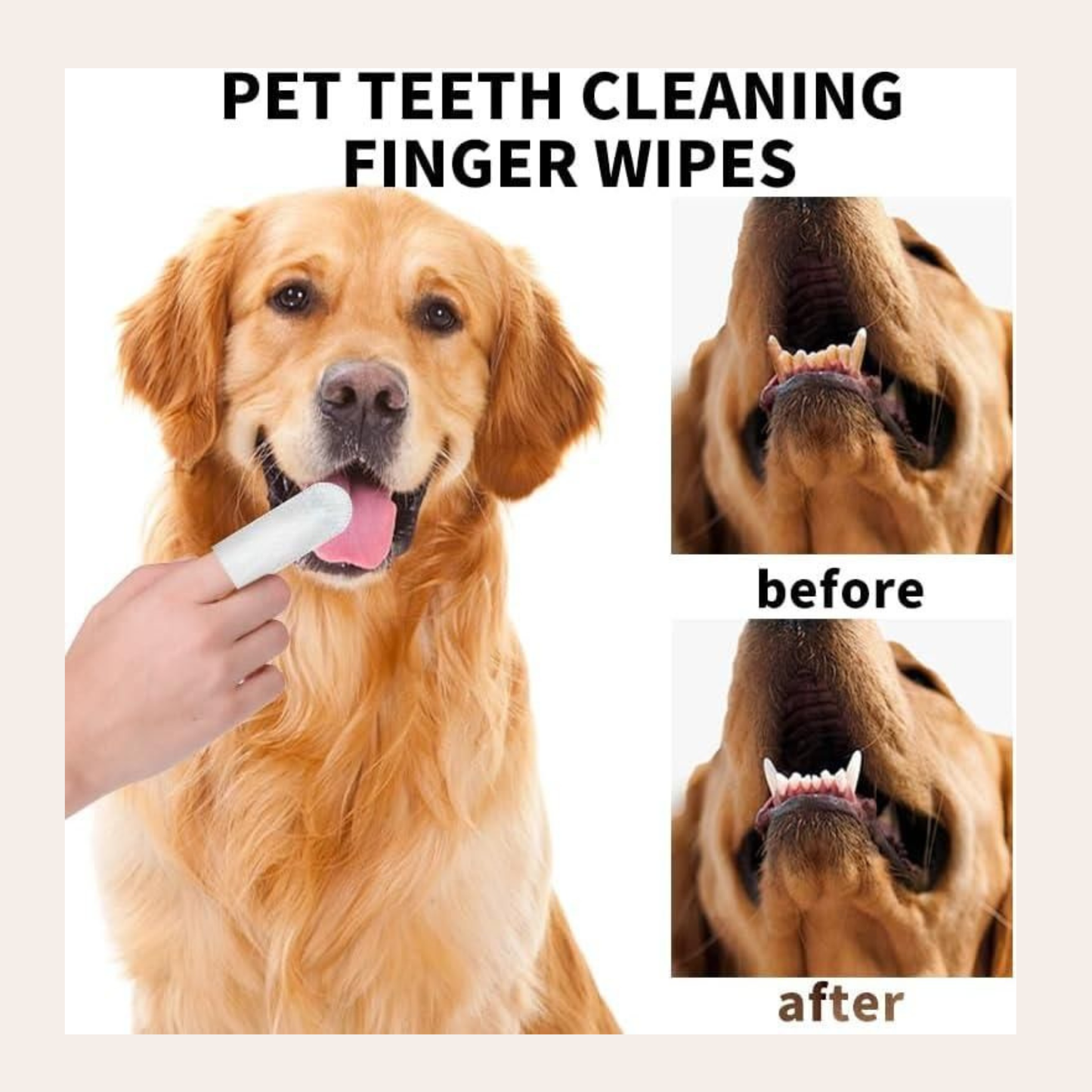 Tailnest™ BrightBite Wipes 🐾