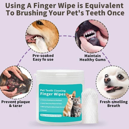 Tailnest™ BrightBite Wipes 🐾