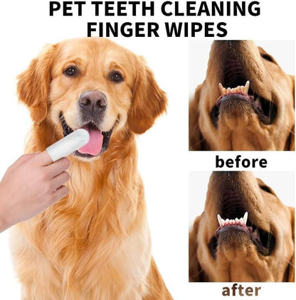 Tailnest™ BrightBite Wipes 🐾