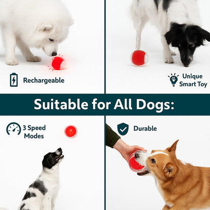 TailNest™ Rolling Fun Ball – Smart Interactive Pet Toy for Dogs & Cats