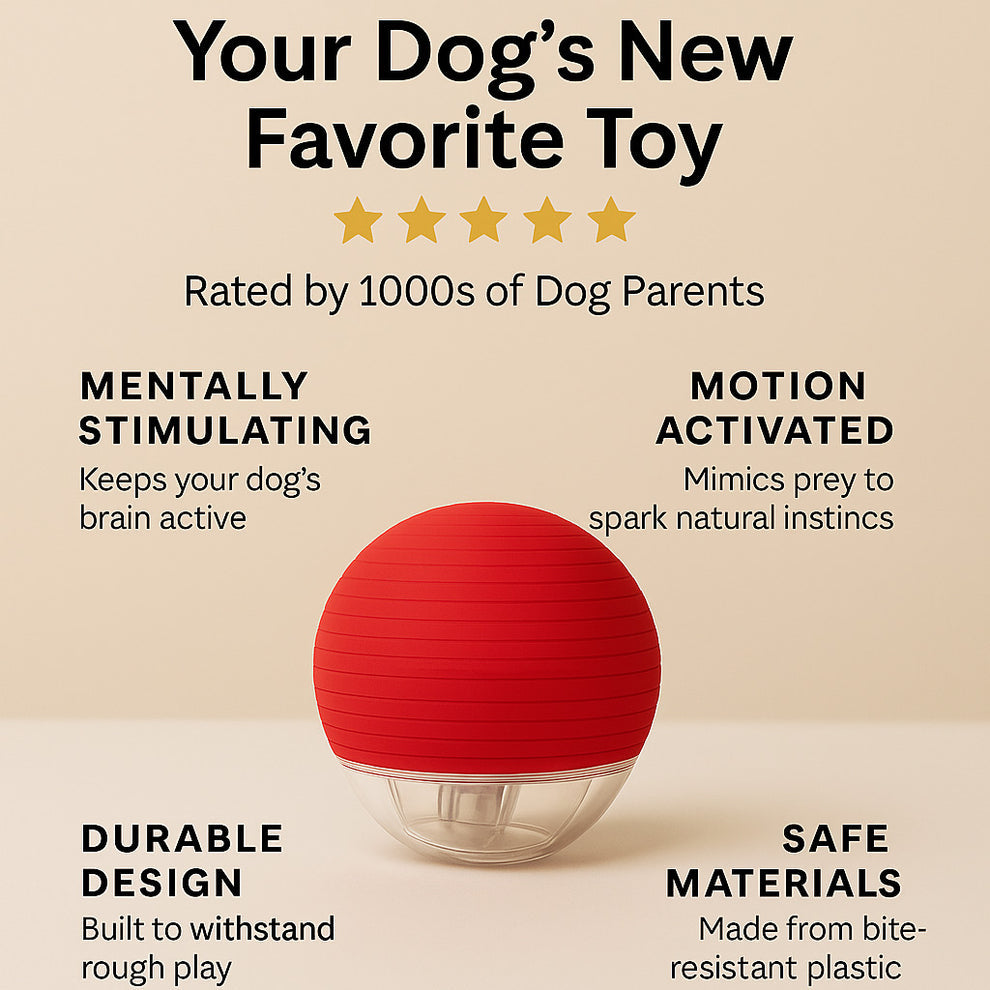 TailNest™ Rolling Fun Ball – Smart Interactive Pet Toy for Dogs & Cats