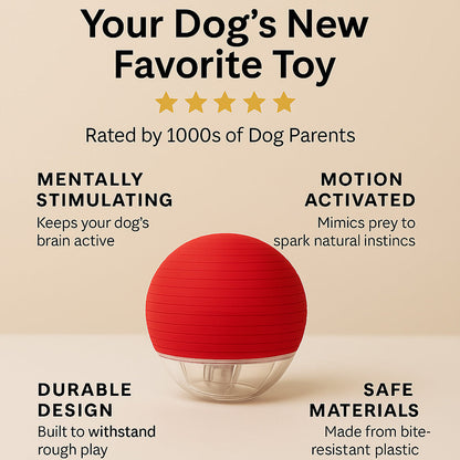 TailNest™ Rolling Fun Ball – Smart Interactive Pet Toy for Dogs & Cats