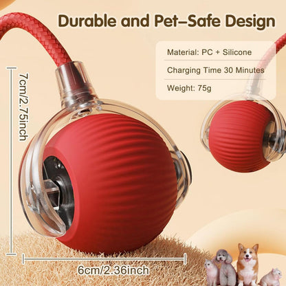TailNest™ Rolling Fun Ball – Smart Interactive Pet Toy for Dogs & Cats