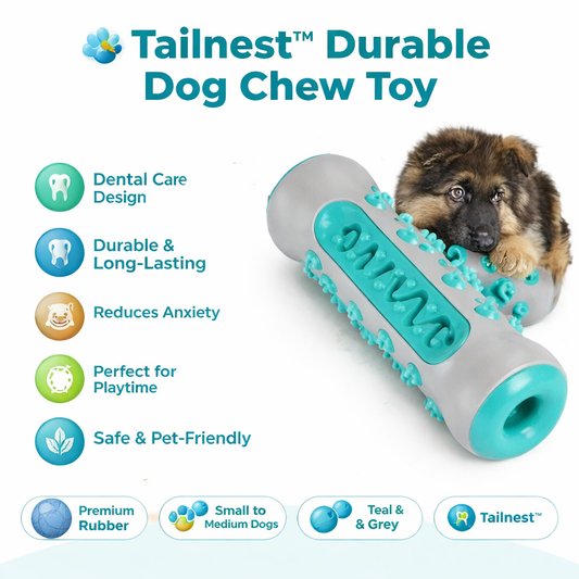 Rubber Squeaky Toy for Dog (Multicolor)