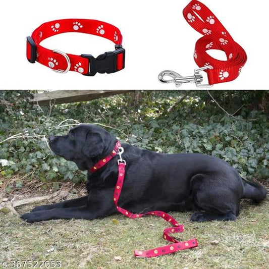 Neck Collar 0.15 mm Belt for Pet (Multicolor, S)
