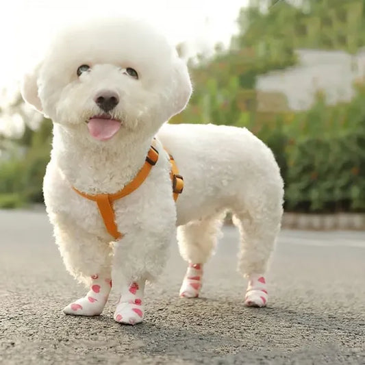 Tailnest™ PawShield Wrap – Soft Joint Care & Dirt Protection (Pack of 2)